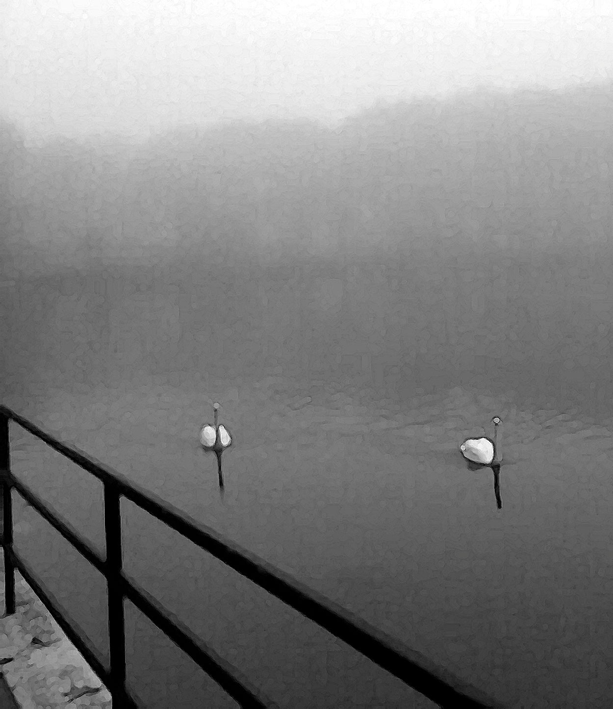 2 Swans